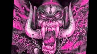 Motorhead DOG FACE BOY (2).wmv