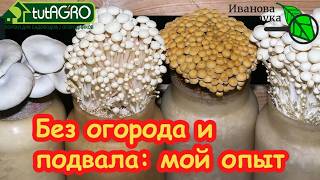 Я в ШОКЕ! КИЛОГРАММЫ грибов в неделю прямо В БАНКЕ! Грибы НА ПОДОКОННИКЕ може?