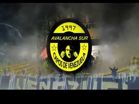 "HOY TE VENIMOS A VER //CÃNTICOS AURINEGROS// AVALANCHA SUR 1997 // CAPOS DE VENEZUELA" Barra: Avalancha Sur &bull; Club: Deportivo Táchira