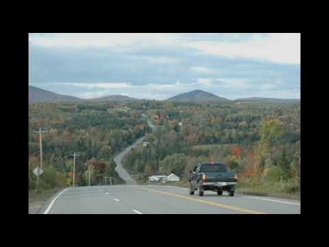 download lagu mp3 mp4 Premium Harmony Stephen King, download lagu Premium Harmony Stephen King gratis, unduh video klip Premium Harmony Stephen King