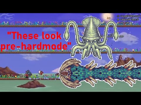 The Calamity Mod Experience