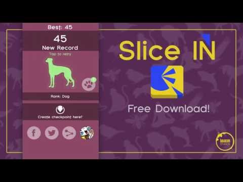 Slice IN Video