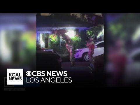 Long Beach man found with possible explosive arrested for sending money to ISIS