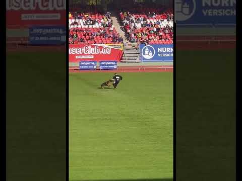 mio vom team huhnegrab @bszs 2022 Germany 🇩🇪