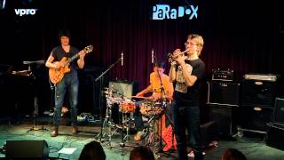 Kapok: Day of the Tentacle