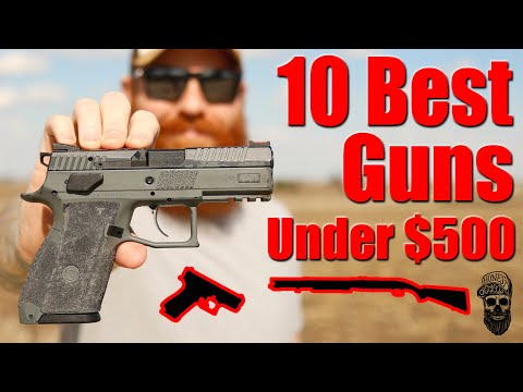 10 Best Guns Under $500