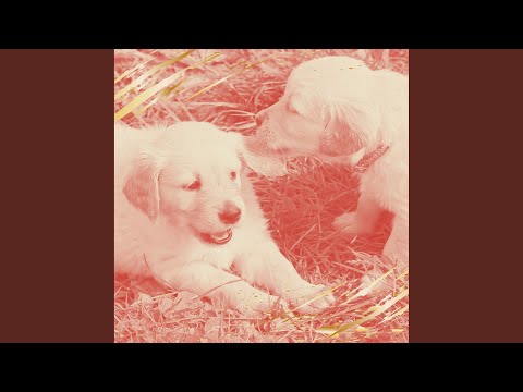 Herrlich Welpen - Geräusche