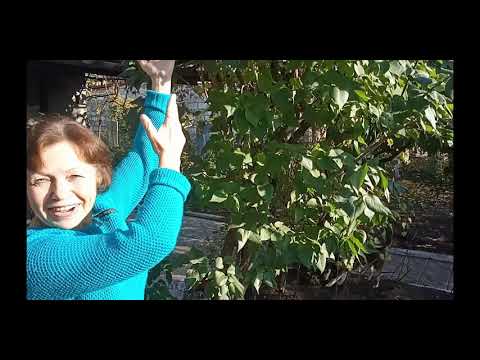 Спасибо всем за Поздравление!/Где мячик?/