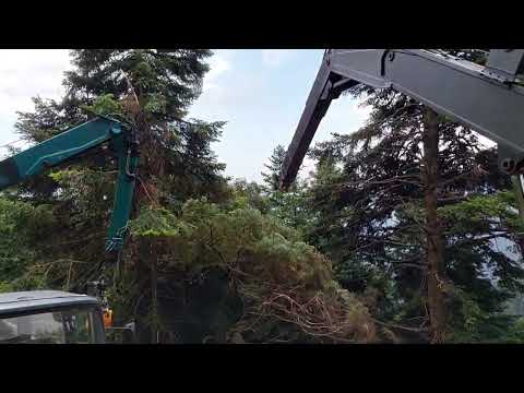 How to destroy a Mercedes benz 1626 and a Magirus Deutz forestry cranes