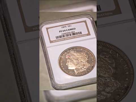 Extremely Rare 1895 Morgan Silver Dollar | Pawn Stars