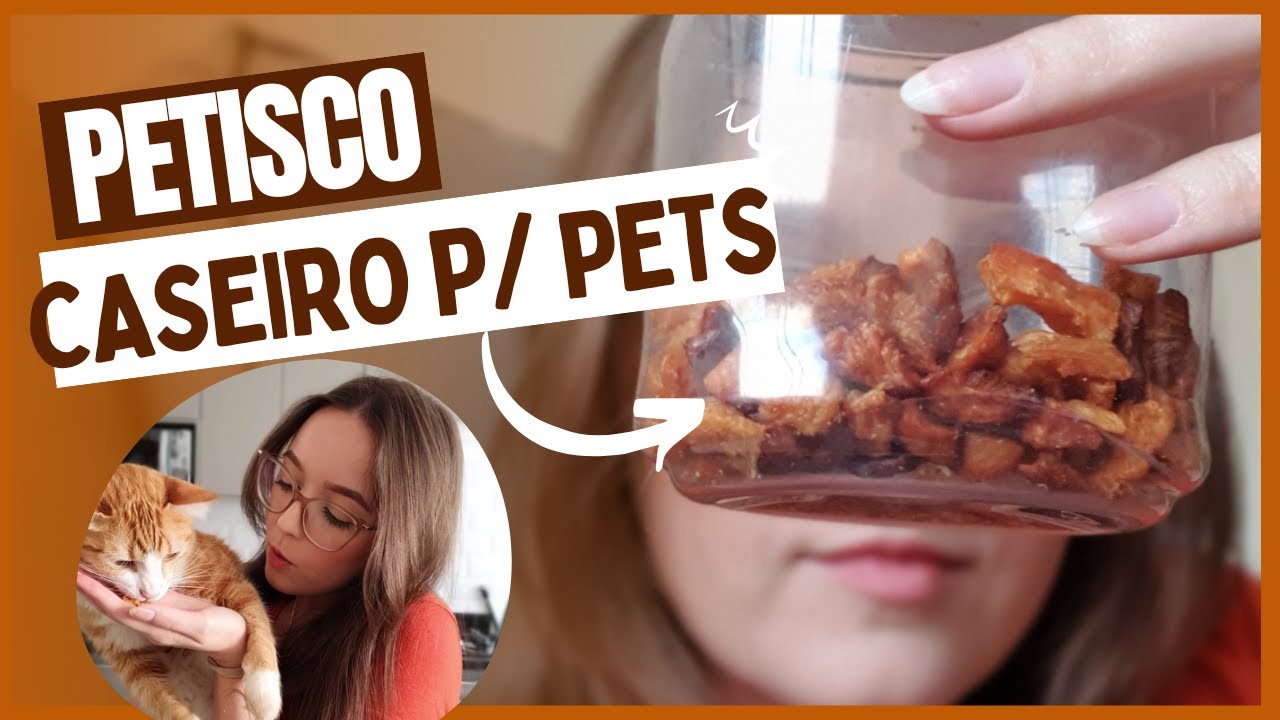 COMO FAZER PETISCO CASEIRO PARA GATO/CACHORRO