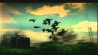 aceyalone-moonlight skies ft.goapele