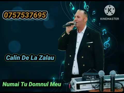 Calin de la Zalău - Numai tu domnul meu (cover Samuel din Bărbulești)