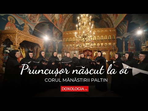 Corul maicilor de la Mănăstirea Paltin – Pruncușor născut la oi