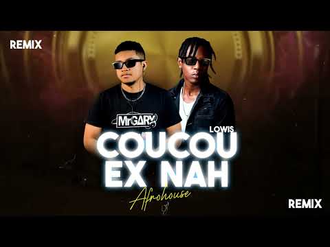 LOWIS  X  DJ MR GARY -  Coucou Ex nah REMIX  [Afrohouse]  vizualizer by AM