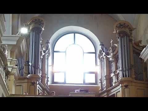 JKS 199 - Plesaj, všetko stvorenie