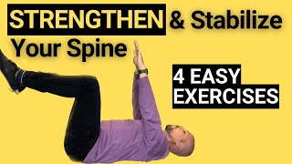 Increase Spine Strength and Stability Exercises | Dr. Matthew Posa Chiropractor in Milton, Ontario