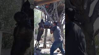 Nemesis Punching Bag, (Prototype) Slow start lol.