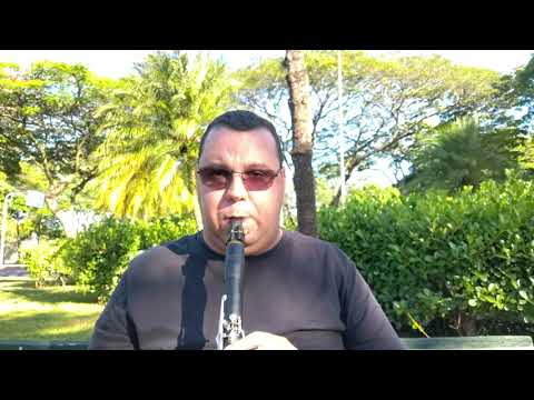 Hino 397 CCB - Clarinete Solo - Buffet Crampon Evette Master Model