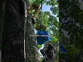 Treenets with a view high up in a tree are truly our favorite.  #shortvideo #artandcraft #climbing
