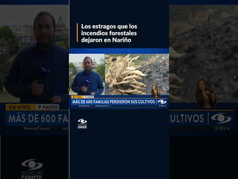 Más de 600 familias perdieron sus cultivos por incendios forestales en Nariño