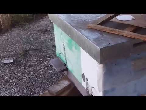 Sfaturi de pregatire a familiilor de albine pentru iernare de calitate la bio stup 3 in 1 sau 2 in 1