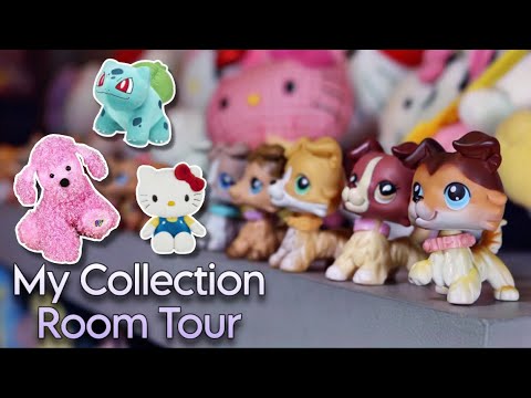 My Collection Room Tour 2025!