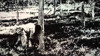 In the middle of the Amazon, the haunted remains of Fordlandia