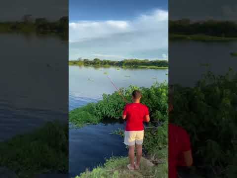 Dia de pescaria 🐟 na cidade de Penalva no Maranhão