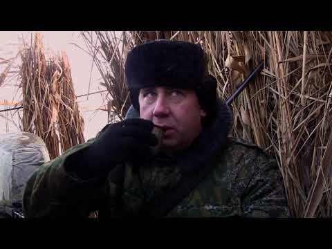 Настоящая русская охота. Пять зорь на Маныче