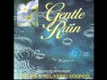 Gentle Rain Cassette Tape Sides 1 2