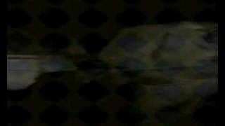 Pelt - Waning Crescent