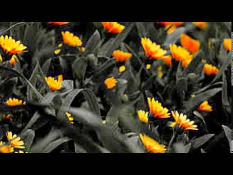 Out Of The Mist           Brian Culbertson