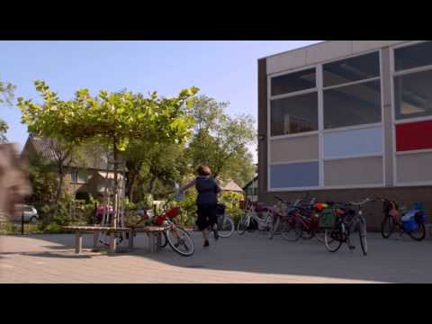 Trailer-Vorschau: Mister Twister - Eine Klasse macht Camping