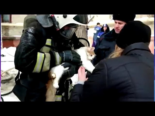 «Неместное время» за 28 февраля