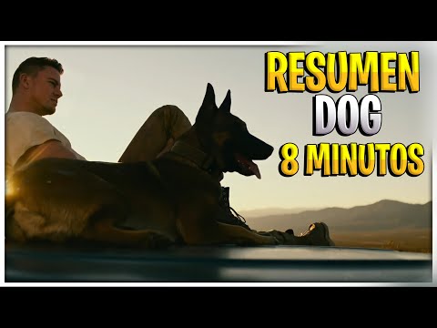 DOG UN VIAJE SALVAJE (RESÚMEN DE LA PELÍCULA) ✅  EN 8 minutos