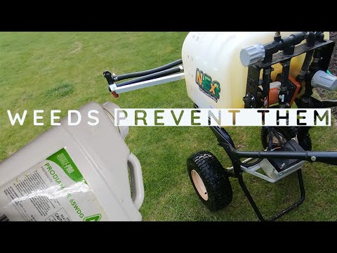 Deciding When to Use a Preemergent | Prevent Weeds All Year