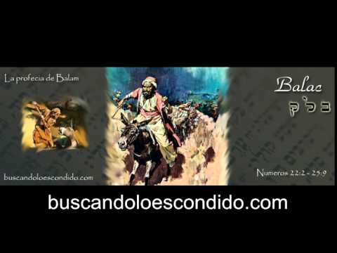 40  Balac    Numeros 22:2 a 25:9      Maravillas Escondidas en la Torah