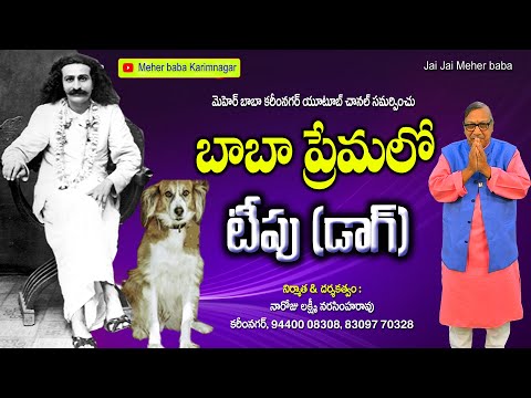 Baba Premalo Tipu (Dog) || Meher Baba Tipu History || Meher Baba Karimnagar #Devotional#pravachanalu