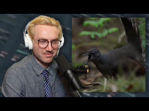 Birdrick Lamar