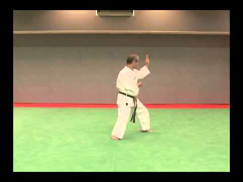 Wado Kata Pinan Shodan - Hiroji Fukazawa Sensei