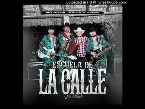 Raul Beltran x Novillos De La Sierra - Escuela De La Calle (Audio Oficial)