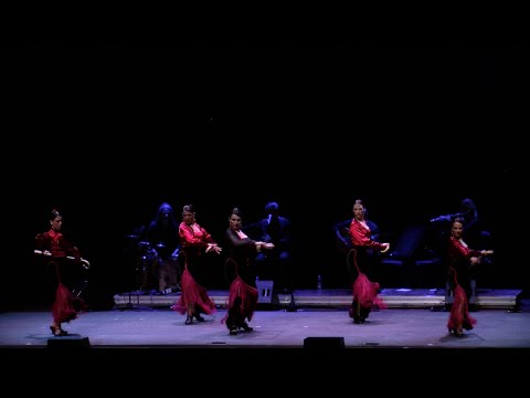 Promo Cinco Miradas Flamenco Lunares di Carmen Meloni