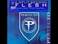 A Split-Second - Flesh (12 Perfecto Mix) 1986/2002