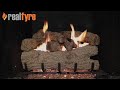 Real Fyre 18" Royal English Oak Vented Natural Gas Logs Set with Variable Flame Automatic Pilot Kit