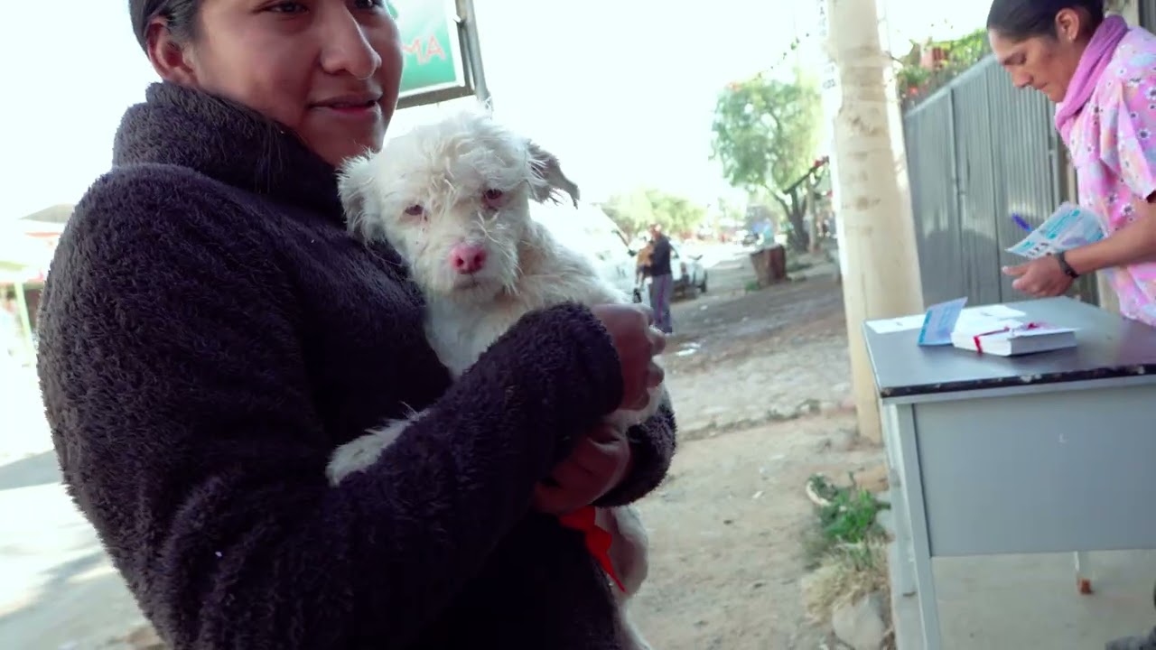 El rostro humano de la rabia