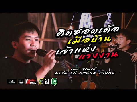 คิดฮอดเด้อ+เมือบ้าน+เจ้าแห่งแรงงาน - เนม สุรพงศ์ | Live In Amorn Farms