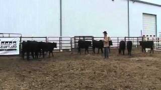 preview picture of video 'McCook Farm and Ranch Expo'