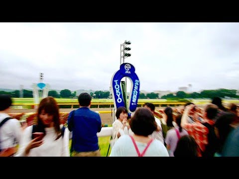 2017.06.25第58回宝塚記念(G1)芝コース開放(馬場開放)⑤＠東京競馬場