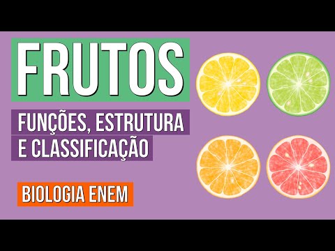 FRUTOS DAS ANGIOSPERMAS: Funções, Estrutura e Classificação | Resumo de Biologia para o Enem